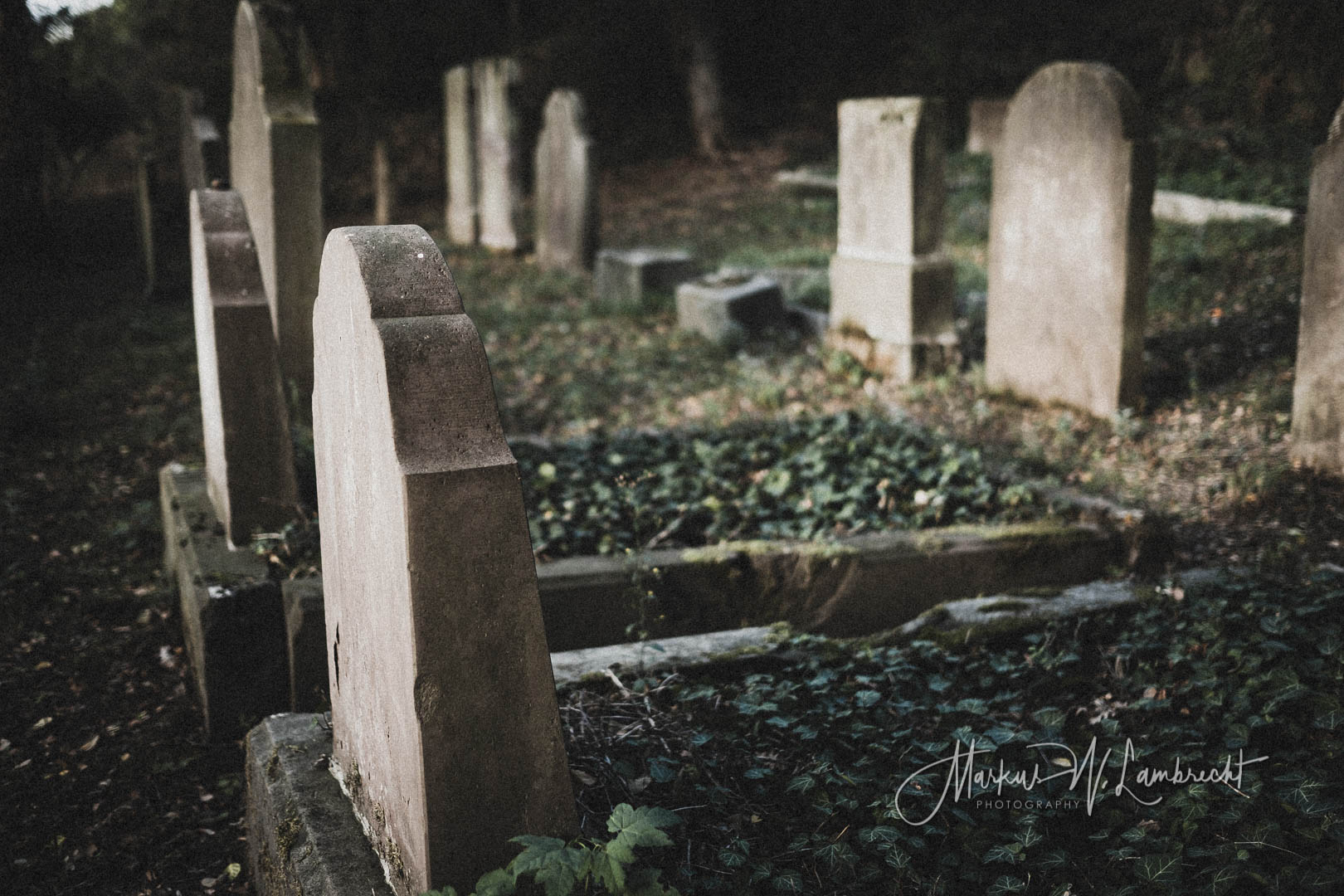 Lauenförde, Jüdischer Friedhof